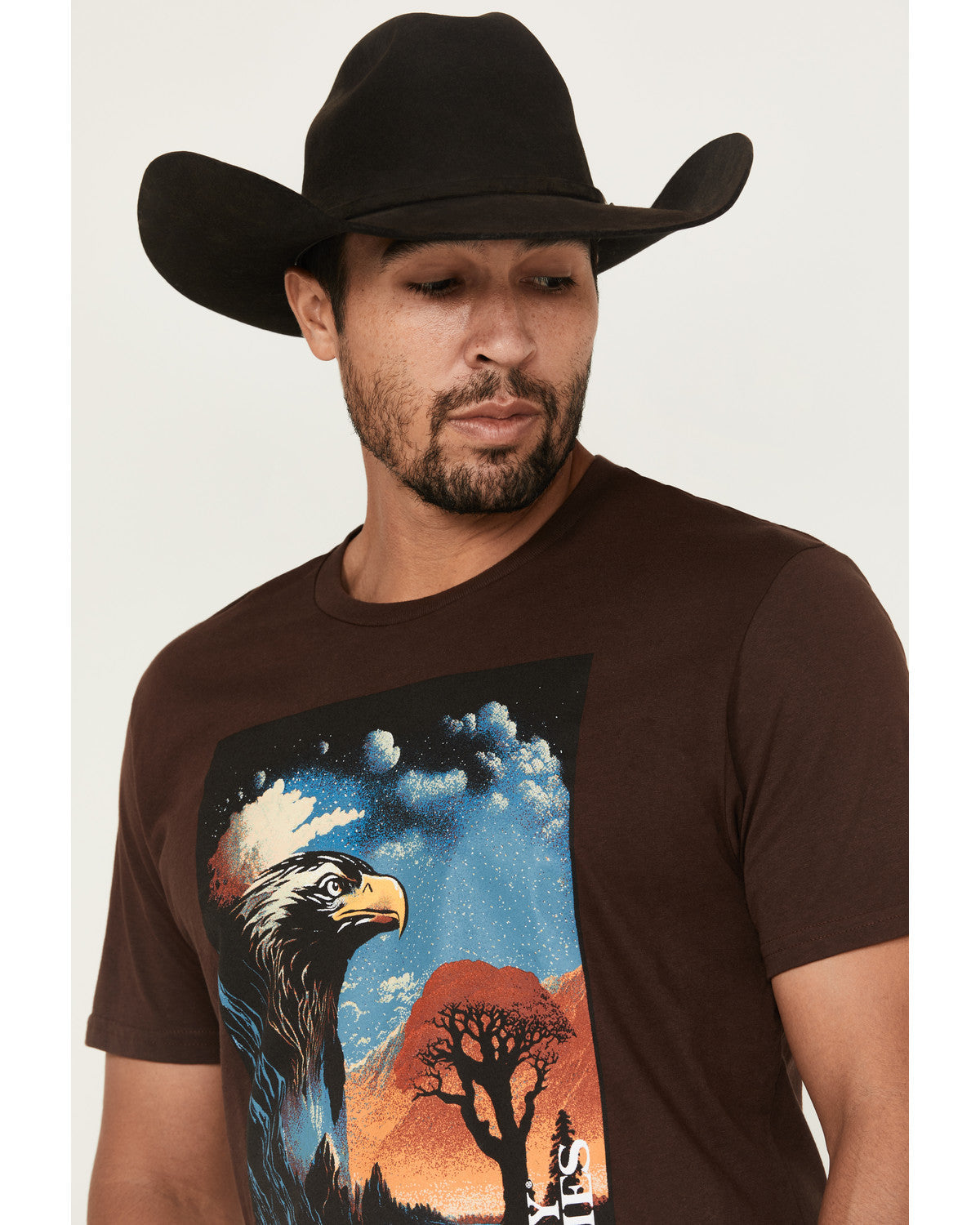 Men's Lookout Eagle Short Sleeve Graphic T-Shirt | Cody James Clothing|Sale