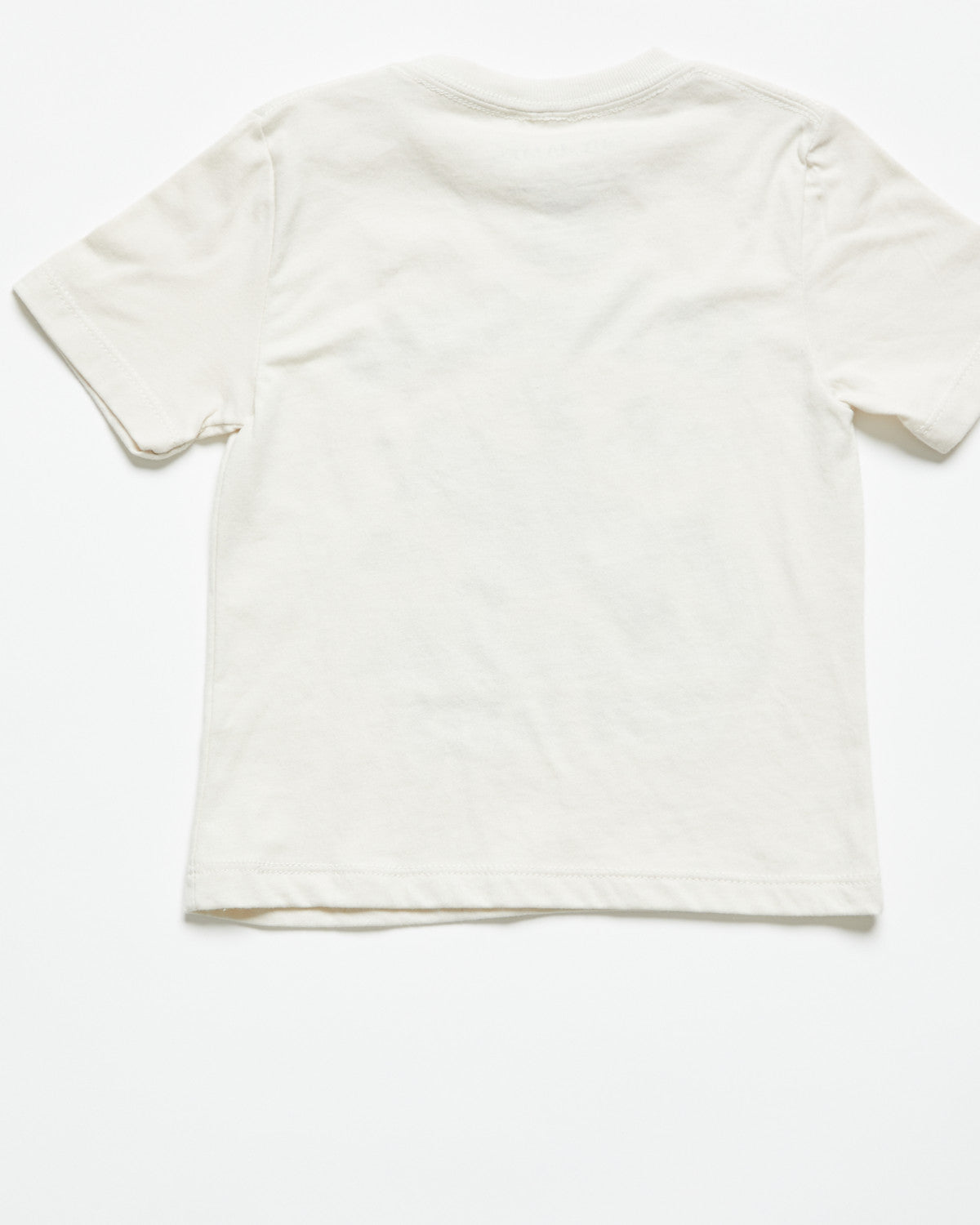 Toddler Boys' Lil Buckaroo Short Sleeve Graphic T-Shirt | Cody James Clothing|Boys