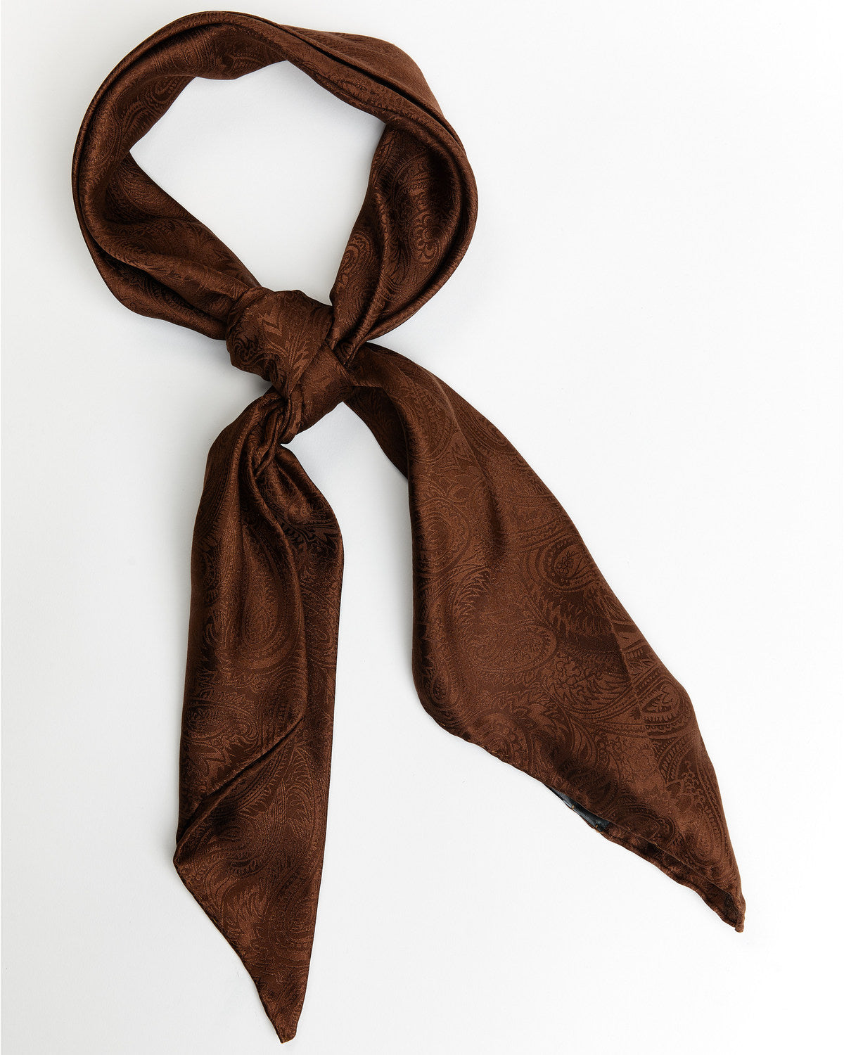 Men's Silk Wild Rag Scarf | Cody James Accessories