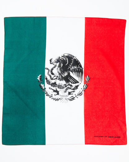 Men's Mexican Flag Bandana | Cody James Accessories