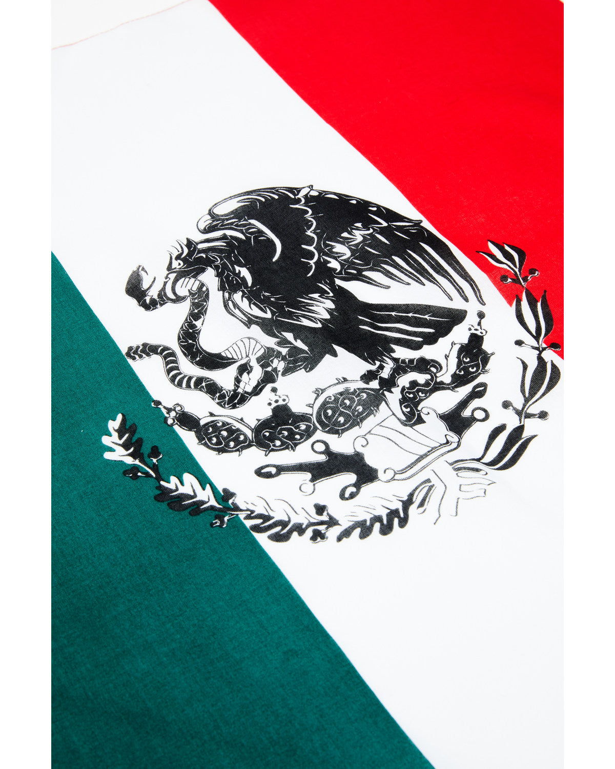 Men's Mexican Flag Bandana | Cody James Accessories