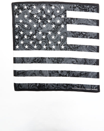 Men's Paisley Americana Flag Bandana | Cody James Accessories