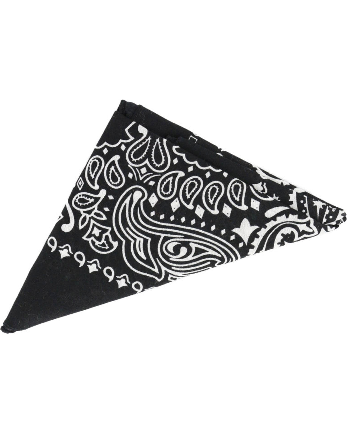 Men's Western Bandana | Cody James Accessories