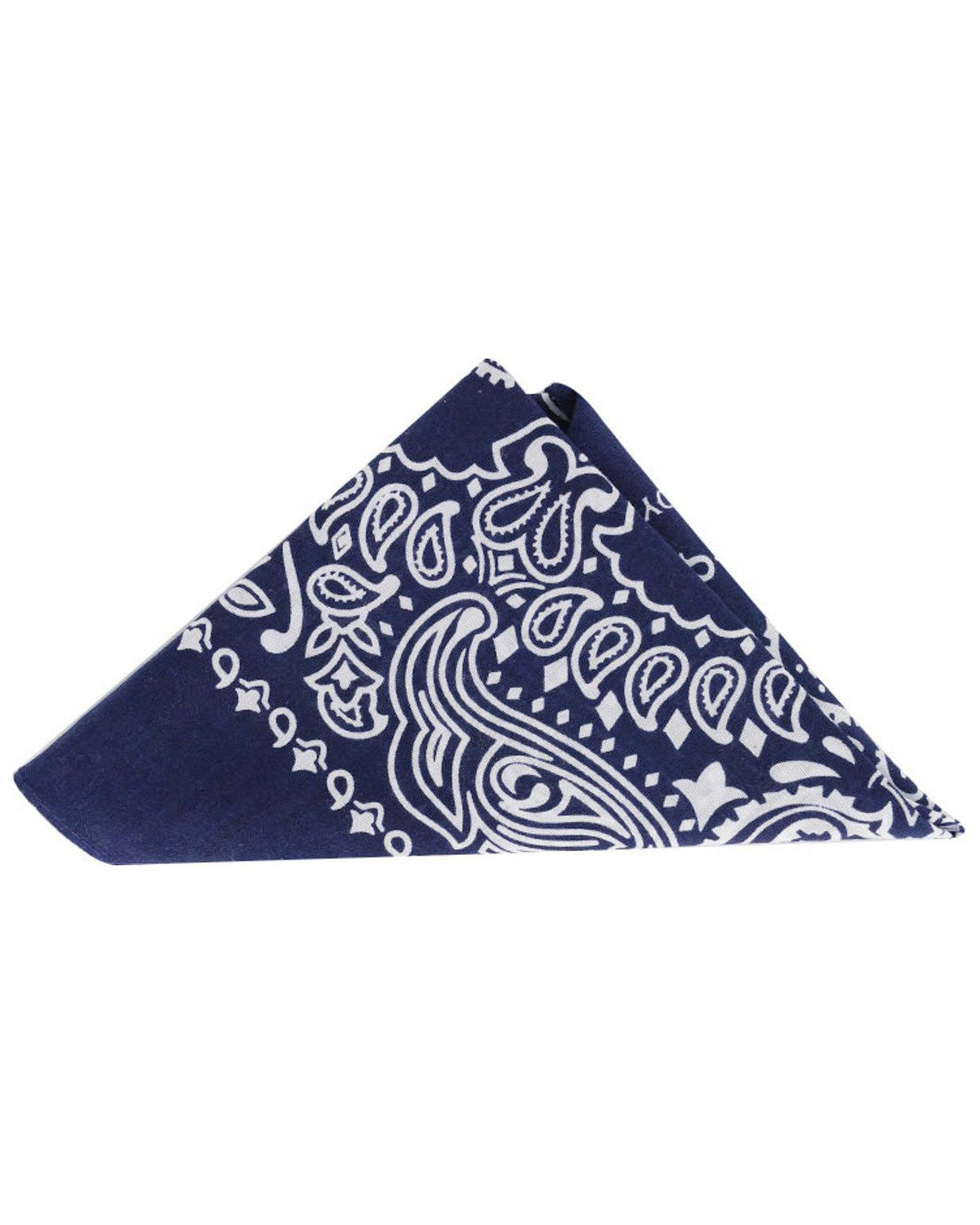 Men's Bandana | Cody James Accessories