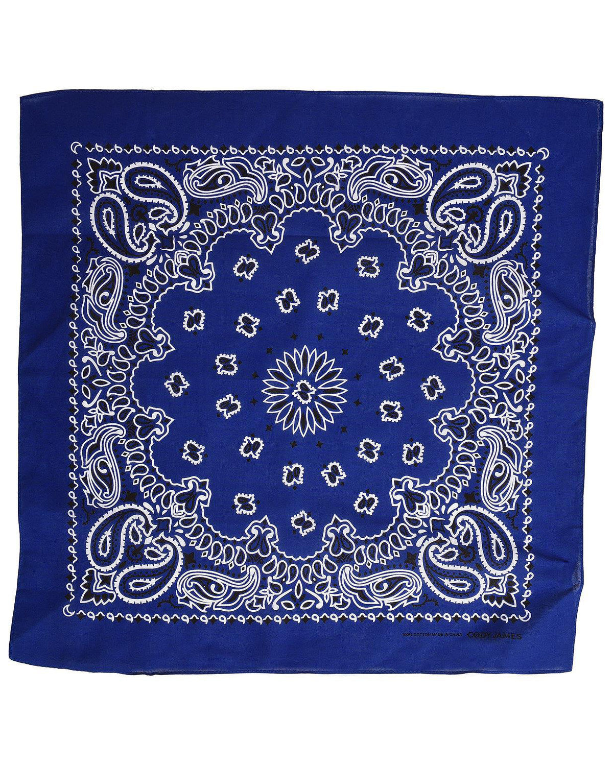 Men's Bandana | Cody James Accessories