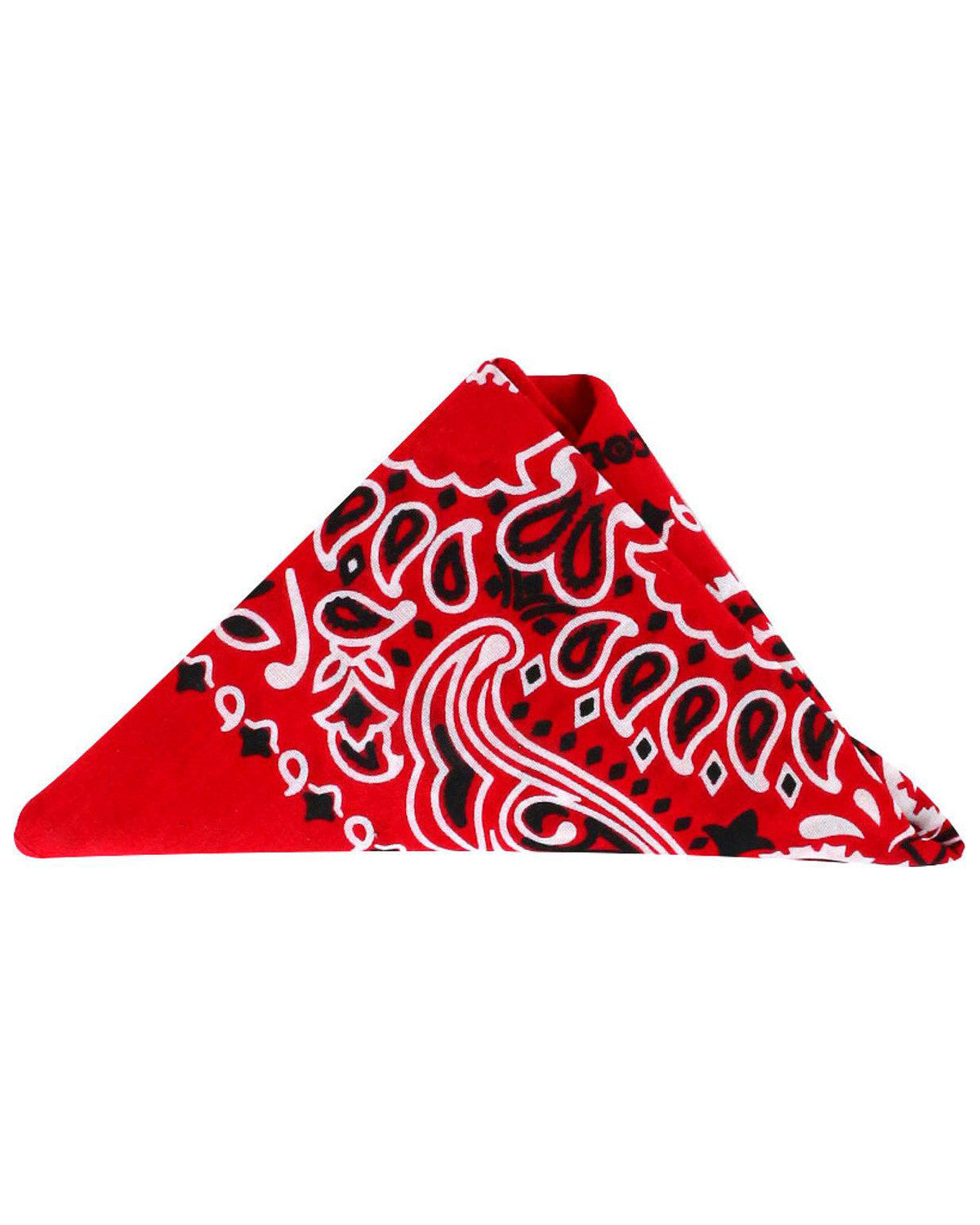 Men's Bandana | Cody James Accessories