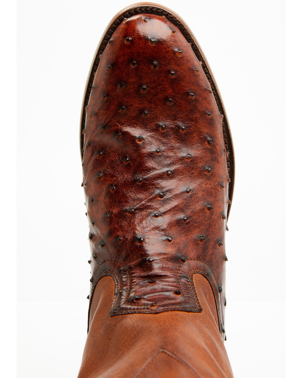 Black 1978® Men's Carmen Exotic Full-Quill Ostrich Roper Bo | Cody James Accessories|Boots