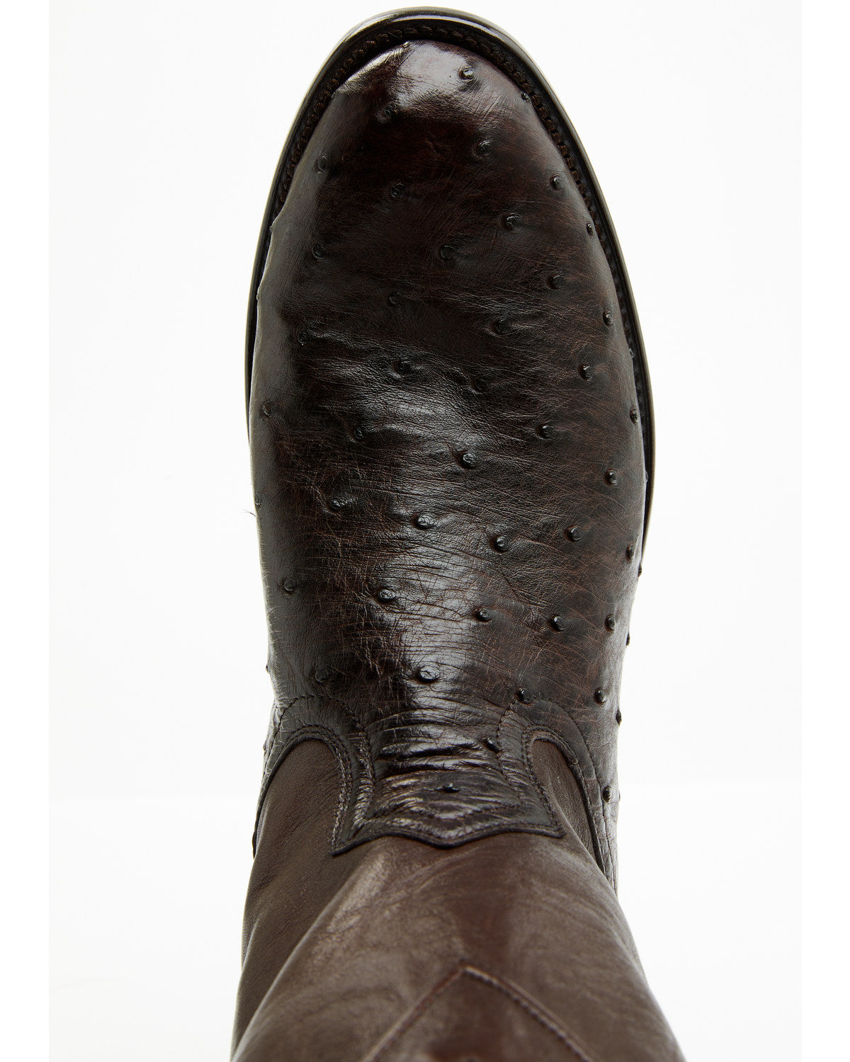 Black 1978® Men's Carmen Exotic Full-Quill Ostrich Roper Bo | Cody James Accessories|Boots