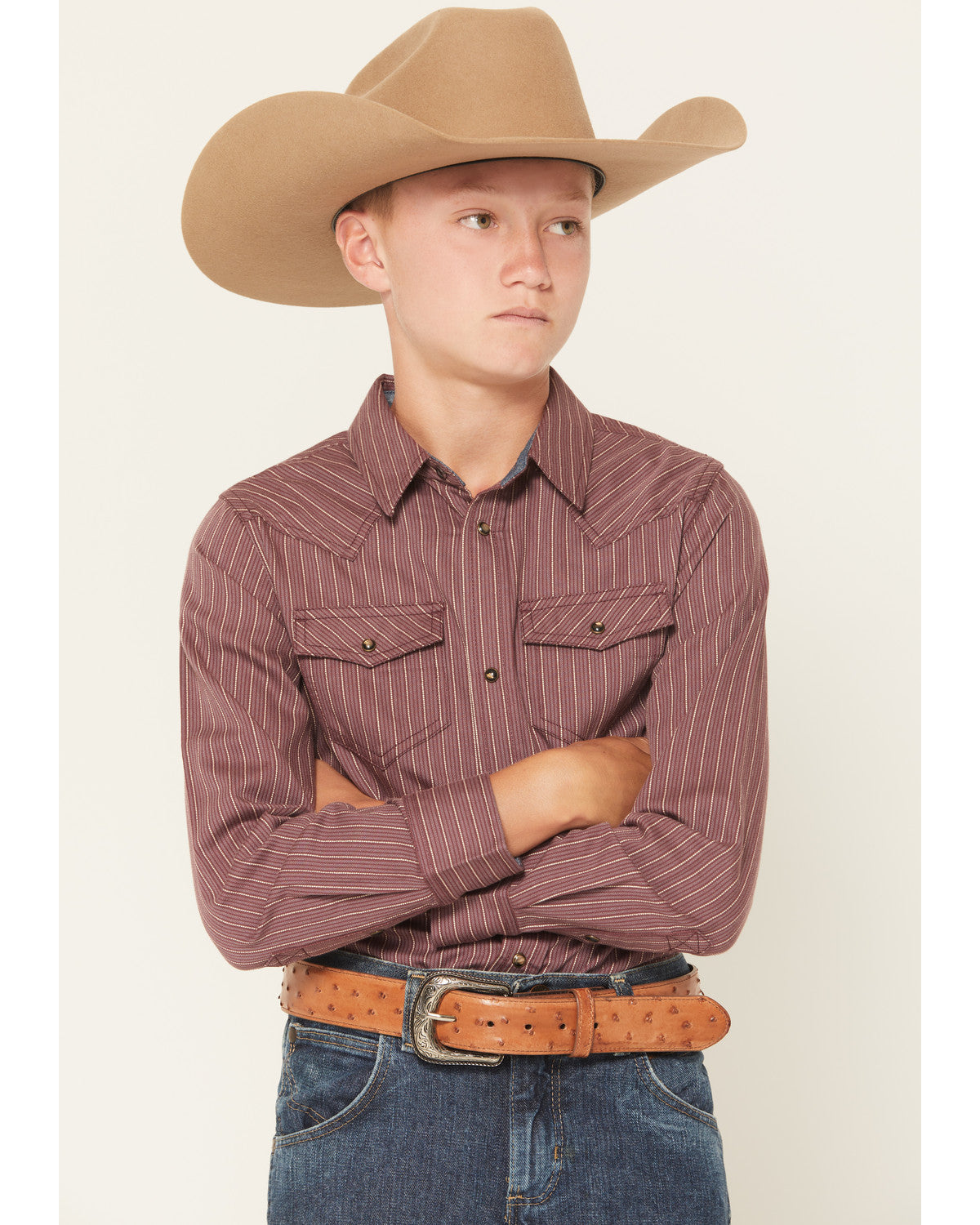 Boys' Everest Peak Striped Print Long Sleeve Snap Western S | Cody James Boys|Sale|Clothing