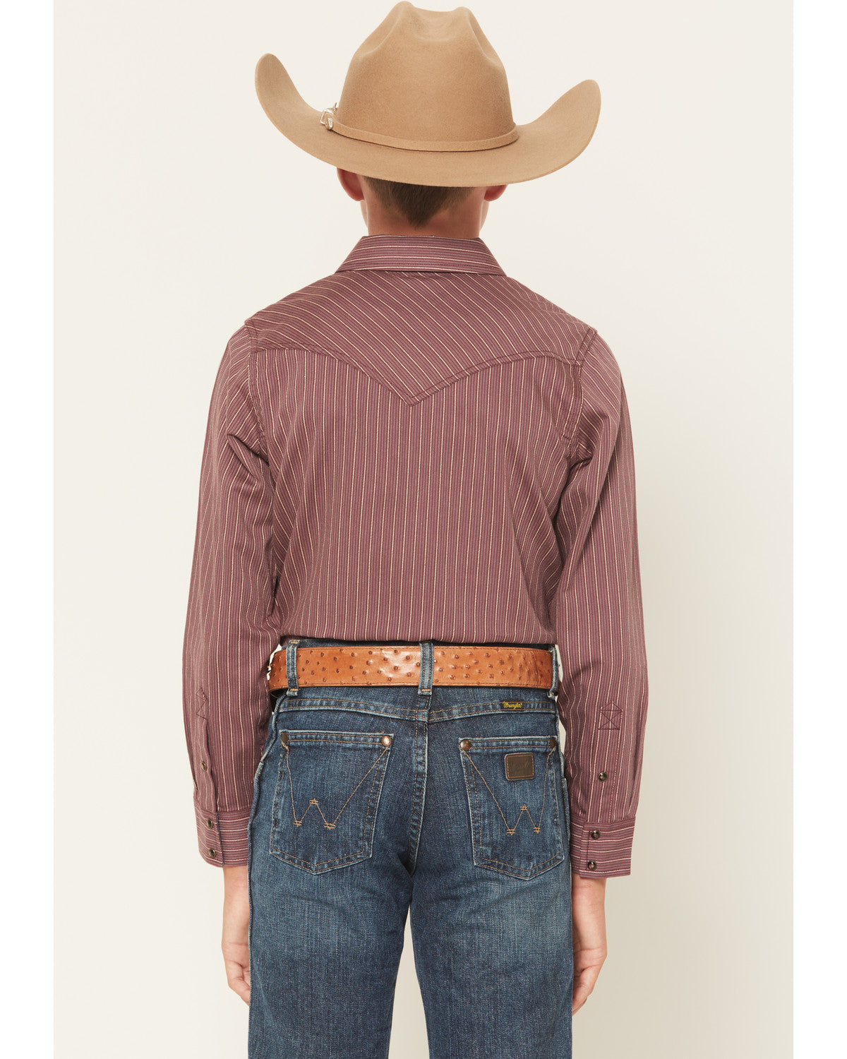 Boys' Everest Peak Striped Print Long Sleeve Snap Western S | Cody James Boys|Sale|Clothing