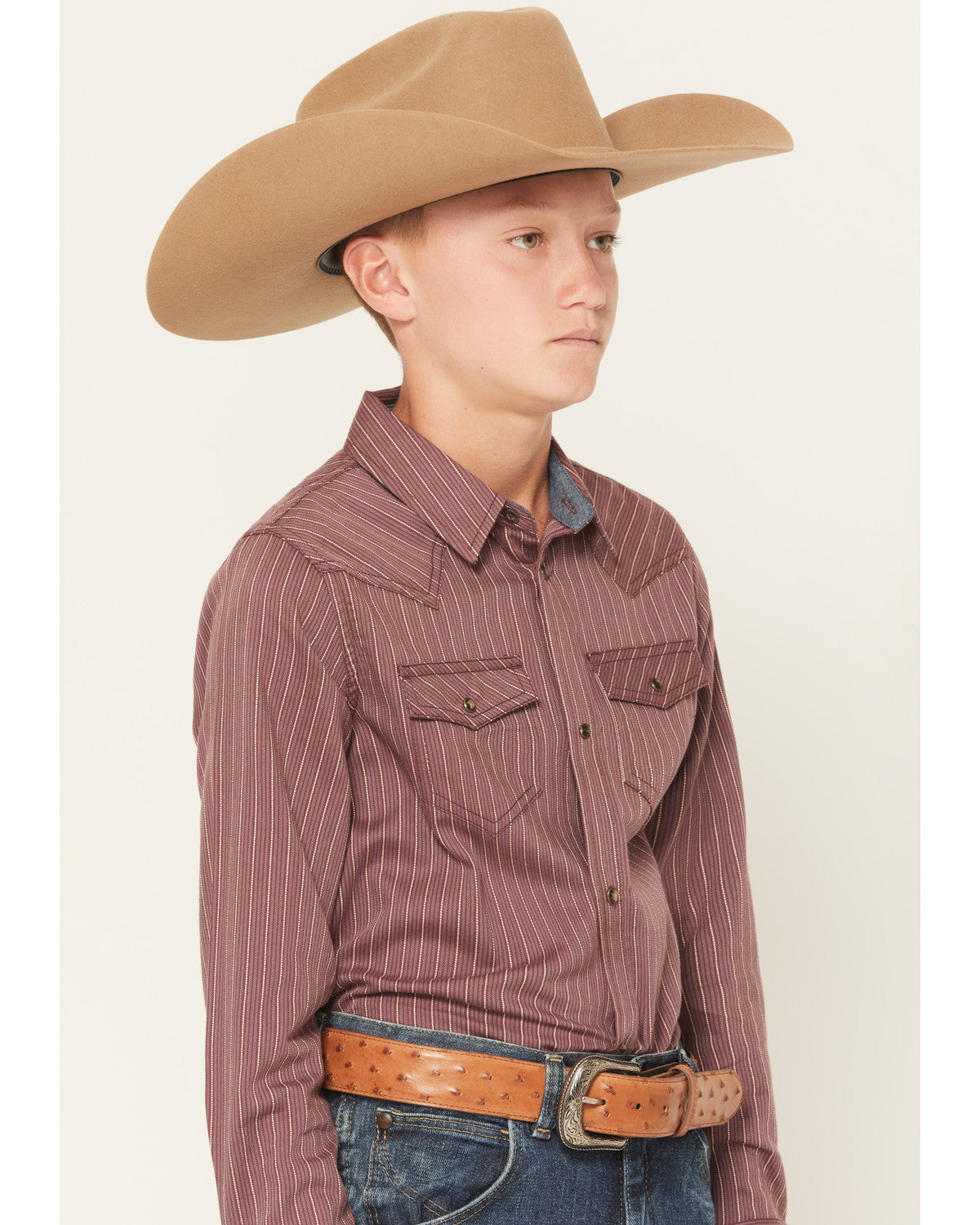 Boys' Everest Peak Striped Print Long Sleeve Snap Western S | Cody James Boys|Sale|Clothing
