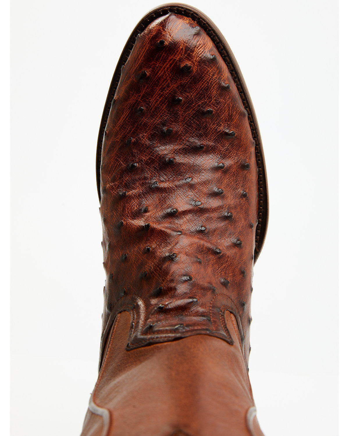 Black 1978® Men's Chapman Exotic Full-Quill Ostrich Western | Cody James Boots